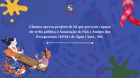 Câmara aprova parceria entre Poder Executivo Municipal e Associação de Pais e Amigos dos Excepcionais (APAE) de Água Clara